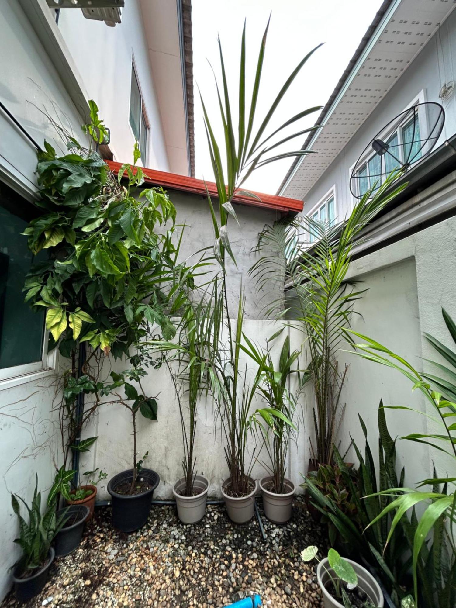 ไนซ์สเตย์ เฮาส์ แอทคลองสาม รังสิต คลองหลวง ปทุมธานี Nice Stay House At Khlong Sam - Rangsit - Khlong Luang - Phathumthani Exterior photo